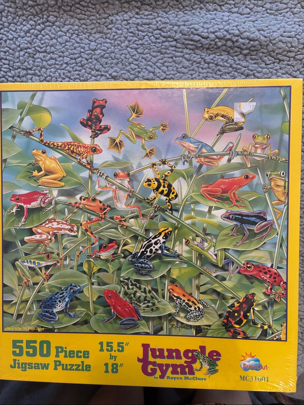 Jungle Gym Multi-Colored Frog Puzzle Box - Yellow Border